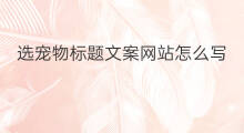 选宠物标题文案网站怎么写 写材料标题文案网站怎么写