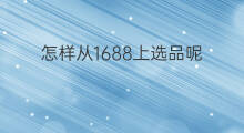 怎样从1688上选品呢 怎样在1688上选货铺