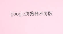 google浏览器不同版本 google浏览器颜色
