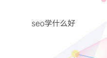 seo学什么好 seo学什么方向好