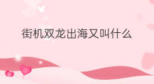 街机双龙出海又叫什么 双龙出海什么生肖