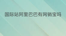 国际站阿里巴巴有网销宝吗 阿里巴巴国际站电销难吗
