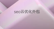 seo云优化外包 seo优化外包案例