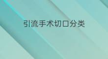 引流手术切口分类 脑部引流手术是什么手术