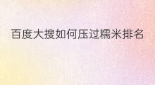 百度大搜如何压过糯米排名 如何搜网站百度排名