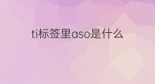 ti标签里aso是什么 标签店群是什么