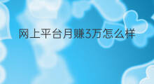 网上平台月赚3万怎么样 怎么样才能3个月赚30万