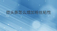 微头条怎么增加粉丝粘性 微头条阅读高怎么增加粉丝