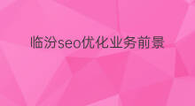 临汾seo优化业务前景 山西seo优化业务前景