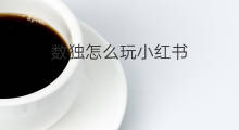 数独怎么玩小红书 如何玩小红书