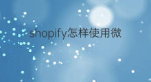 shopify怎样使用微信支付 shopify支持微信支付吗