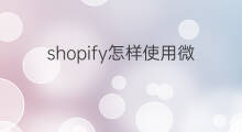 shopify怎样使用微信支付 shopify支持微信支付吗
