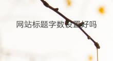 网站标题字数设置好吗 网站标题字体多大