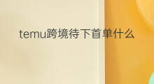 temu跨境待下首单什么意思 temu核价通过了在哪里下首单