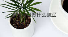 茶楼可以做什么副业 抖音茶楼什么歌