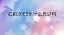 红包2088是什么意思啊 diy红包是什么意思啊