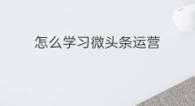 怎么学习微头条运营 自学微头条怎么学习