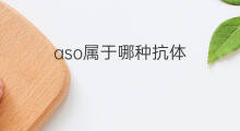aso属于哪种抗体 aso属于哪个抗体大类