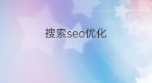 搜索seo优化 seo优化搜索