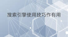 搜索引擎使用技巧作有用 搜索引擎技巧