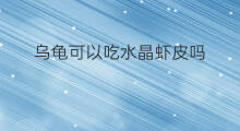 乌龟可以吃水晶虾皮吗 乌龟主食虾皮可以吗
