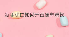 新手小白如何开直通车赚钱 小白如何开好直通车赚钱
