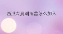 西瓜专属训练营怎么加入 西瓜训练营怎么加油