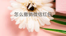 怎么撤销微信红包 怎么撤销微信红包密码