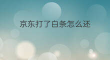 京东打了白条怎么还 京东白条还款怎么还