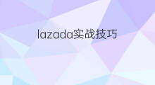 lazada实战技巧 seo实战技巧教学