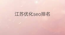 江苏优化seo排名 江苏seo优化机构
