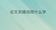 论文关键词用什么字 选论文关键词技巧