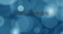 河源seo去哪咨询 汕尾seo去哪里咨询