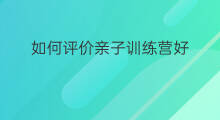 如何评价亲子训练营好 亲子沟通训练营开课了吗