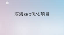 滨海seo优化项目 滨海seo优化咨询