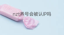 nzt养号会被认IP吗 养号必须静态ip吗