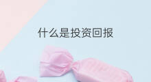 什么是投资回报 投资回报率是什么