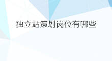 独立站策划岗位有哪些 独立站工作怎么选岗位