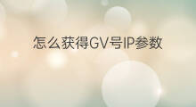 怎么获得GV号IP参数 chatgpt参数