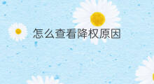 怎么查看降权原因 查看降权原因