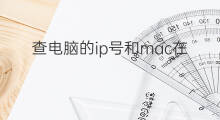 查电脑的ip号和mac在哪里查找 怎么查看电脑的ip和mac号