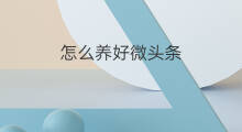 怎么养好微头条 头条养号技巧