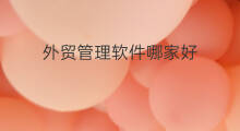 外贸管理软件哪家好 外贸管理软件费用