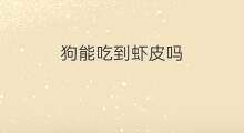 狗能吃到虾皮吗 宝宝多大才能吃到虾皮