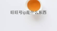 旺旺号ip是什么东西 购买的旺旺ip号是什么