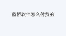 蓝桥软件怎么付费的 苹果手机付费软件怎么付费