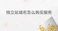 独立站域名怎么购买服务 独立站域名怎么购买