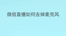 微信直播如何去掉麦克风 微信直播麦克风怎么开启