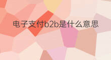 电子支付b2b是什么意思 电子商务b2b模式是什么意思
