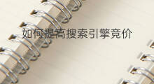 如何提高搜索引擎竞价 怎么提高搜索引擎竞价